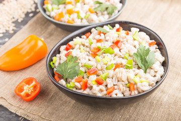 Pearl barley porridge with vegetables in blue ceramic bowls.  Side view, close up, selective focus.