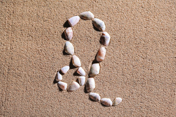 Leo Zodiac sign made of seashells on sand background