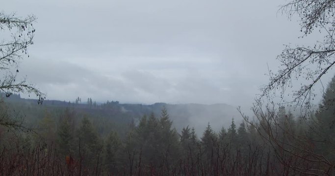 Timelapse of fog over trees