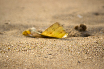 Fototapeta na wymiar Closeup sea seashore
