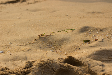 Sand Background Stock Photo