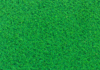 Fototapeta premium Green grass soccer field background.