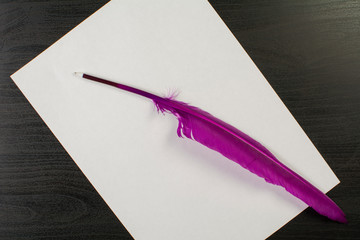 Purple goose feather pen lies on a piece of paper