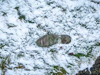 one footprint in the snow on ground