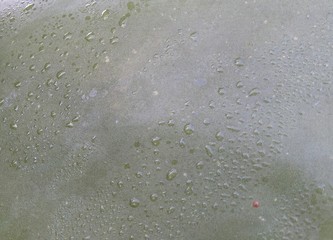 TEXTURA VERDE NATURAL ABSTRACTA CON GOTAS DE AGUA.