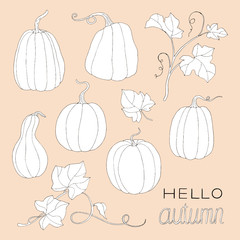 Composition of pumpkin and “Hello autumn” note. Can be used for postcards, invitations, internet, banners, flyers, textures.