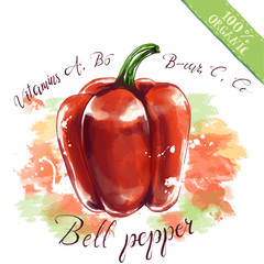 Vector red bell pepper. Organic health food for vegetarians and health care.