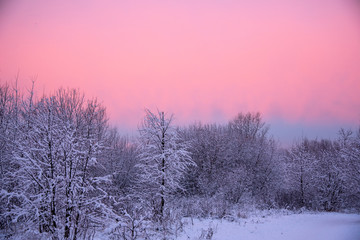Bright pink-purple dawn over a snow-covered Park