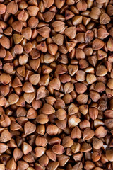 Texture background grain buckwheat groats. Macro photo.