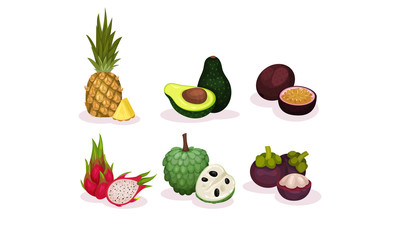 Ripe Tropical Exotic Fruits Whole and Half Cut Vector Set