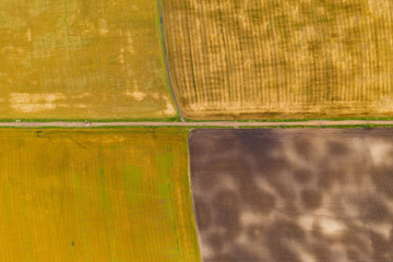 Aerial top view drone photography of a land with sown green fields in countryside