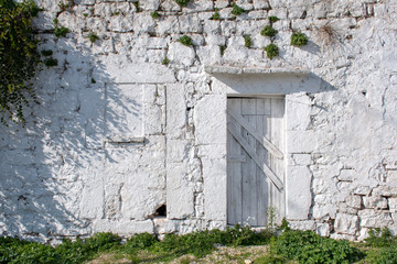 Fototapeta na wymiar Ancient wooden door of an old white stone house in a countryside village in Puglia, Italy, Europe with plant capers