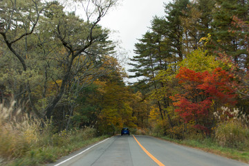Fototapeta premium 裏磐梯 五色沼の秋