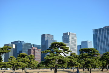 Obraz premium ２０２０年東京オリンピックの年の東京の風景 正月の丸の内のビル群の風景