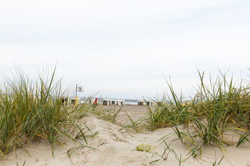 Fototapeta na wymiar Dunes on the North Sea beach in Germany