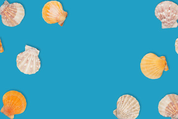 Sea pattern with sea shells, top view, flat lay. Summer concept. Different sea shells on blue background.