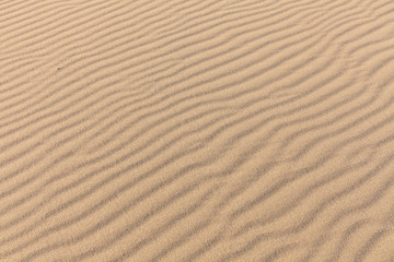 Sand Texture. Background from fine sand. Sand background. selective focus