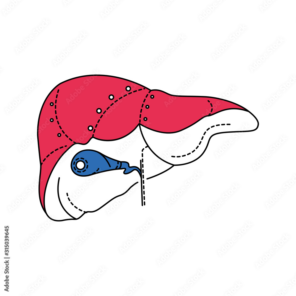 Poster bio artificial liver color line icon. supportive device for an individual who is suffering from acut