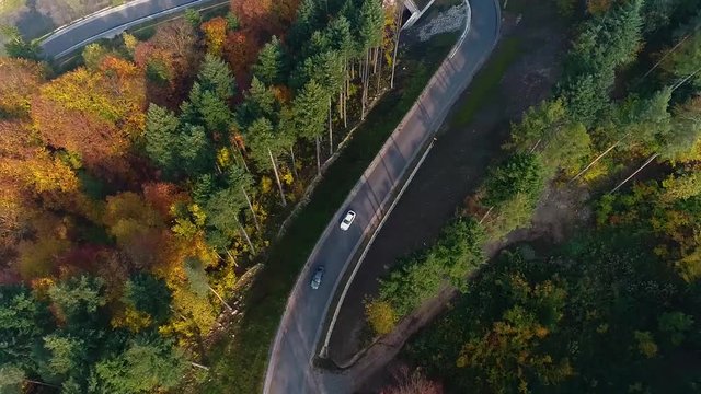 Samochody jadące drogą przez las jesienią z lotu ptaka