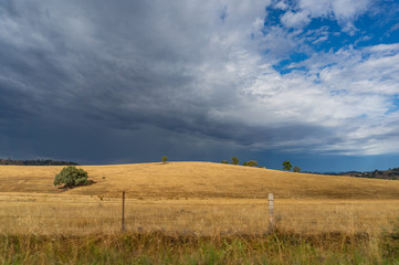 Fototapeta na wymiar Farmland landscape of paddock, field with dry yellow grass and storm cloud above