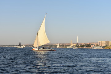 Fototapeta premium Traditional Felucca Sailing Boat on the River Nile in Egypt