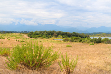 Fototapeta na wymiar Landscape at island Corsica in France