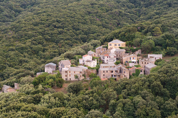 Little village Poggio at Cap Corse