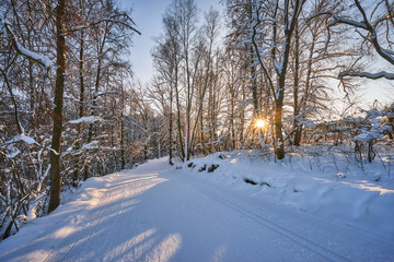 Fototapeta premium Road and a ski track in a winter forest
