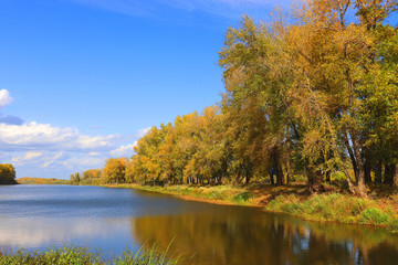 autumn landscape with river