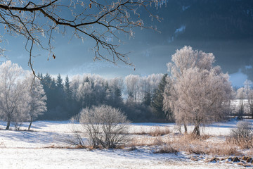 Wunderschöne idyllische Winterlandschaft mit vereisten Zweigen im Vordergrund