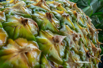 anan&aacute;s abacaxi