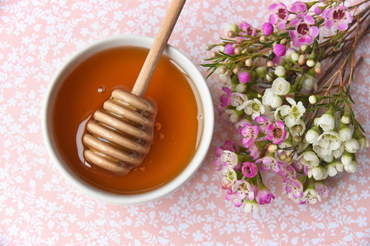 manuka honey and blooming manuka flower tree on a pink background