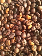 coffee beans background