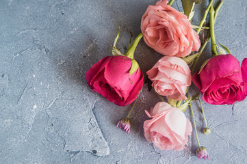 Bouquet of pink roses on a gray background. zero waste gift on Mother's Day. Women's day card. 8 march happy womens day. copy space