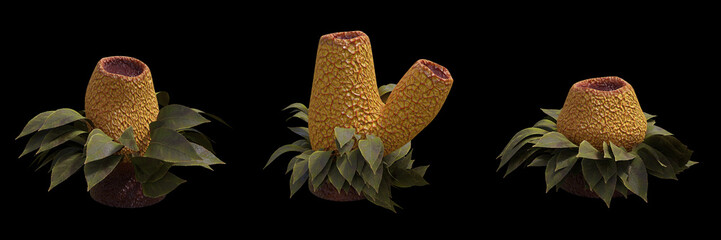 alien plant life, set of extraterrestrial flora isolated on black background