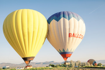 Obraz premium Colorful hot air balloons flying over the valley in Cappadocia, Turkey