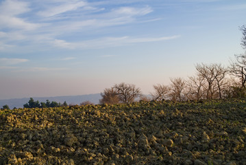Paesaggio rurale marchigiano