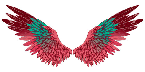 Beautiful pink burgundy turquoise gradient wings, vector