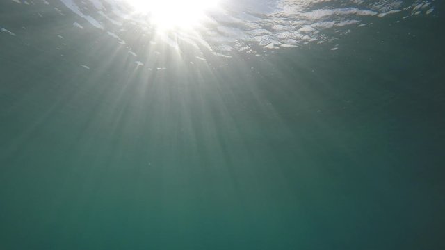 Sunlight underwater video