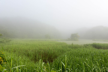 福島　夏の五色沼