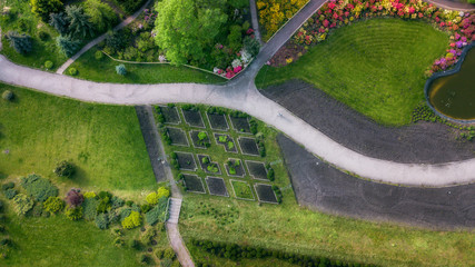 aerial view of green flower bed in the form of a maze. drone shot. natural summer spring background