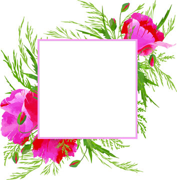 Vector Square Pink Frame With Red Poppies Flowers And Green Leaves And Summer Herbs. Prett, Nice Tender Design For Decore Wedding Or Holiday Invitations, Cards, Poster