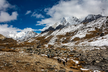 Reportage au Népal la Haute route de l'Everest 