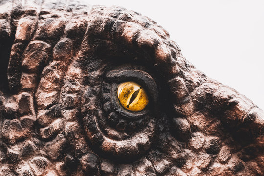 Fototapeta Eye of the dinosaurs with terrifying.