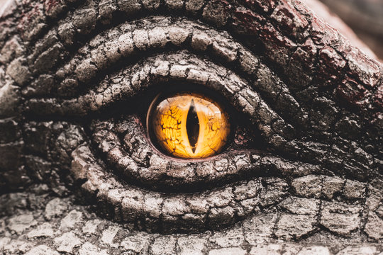 Fototapeta Eye of the dinosaurs with terrifying.