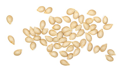 Dry muscat squash seeds isolated on white background, top view