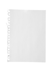 Blank notebook paper isolated on white. Space for design