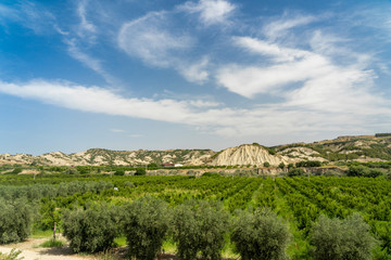 Rural landscape near Policoro, Basilicata
