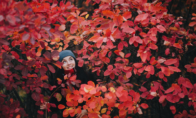 A young beautiful girl in a knitted gray hat, a dark woolen coat, gloves and a scarf stands on the background of autumn bushes with red leaves. The concept of walking in nature. Copy space.