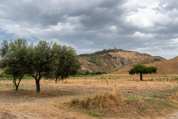 Rural landscape in Matera province at summer